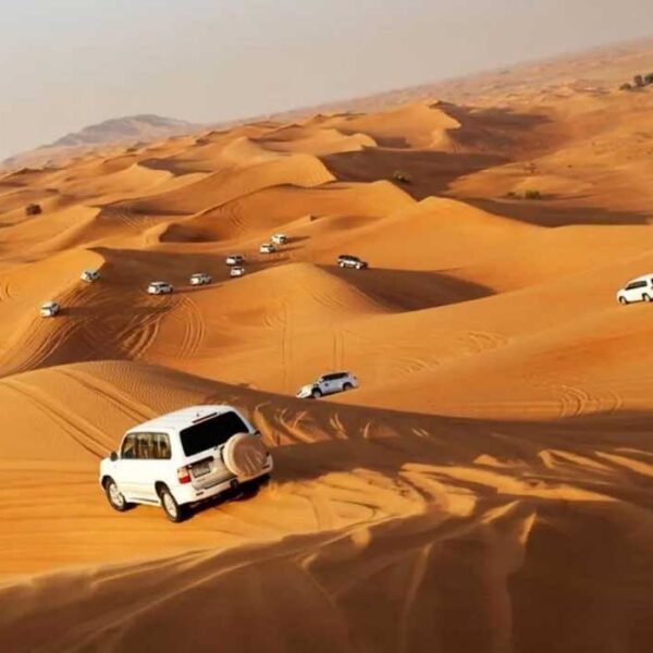 Dubai Desert Safari